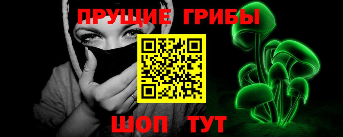 Псилоцибиновые грибы Cubensis Новоалтайск